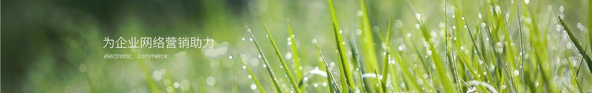 пưٻԶƼ޹˾
